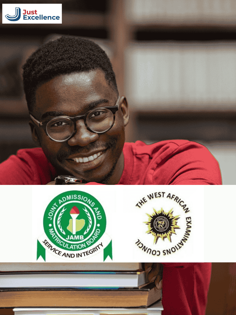 just excellence online school (7)